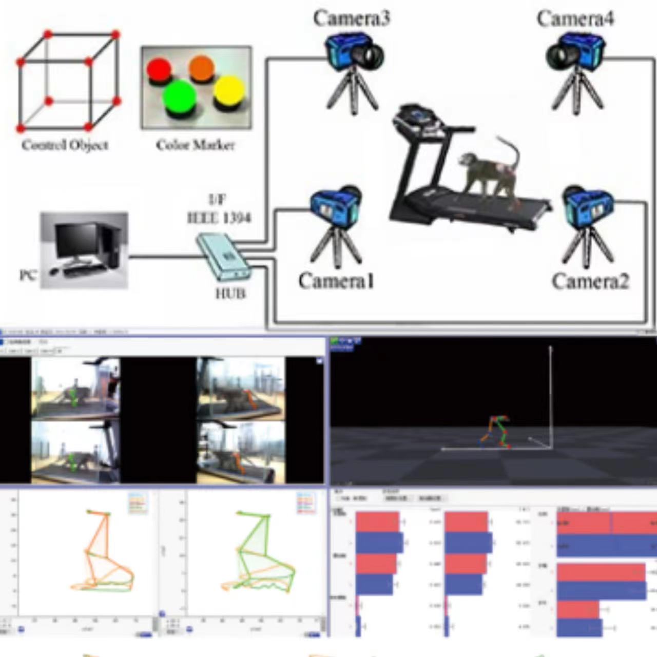 动物三维动作捕捉及分析系统