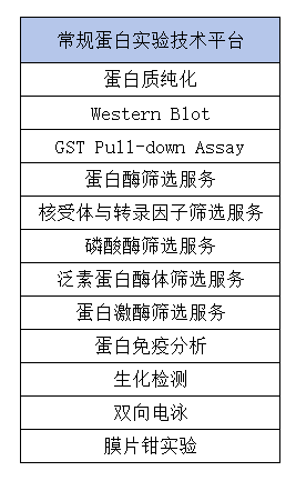 屏幕截图 2024-06-11 090639