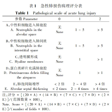 屏幕截图 2024-06-20 093206