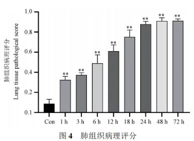 屏幕截图 2024-06-20 093811