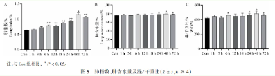 屏幕截图 2024-06-20 094022