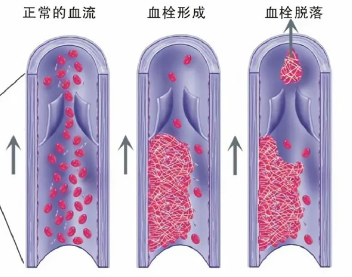 屏幕截图 2024-06-21 090950