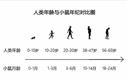 屏幕截图 2024-06-21 093806