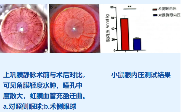 屏幕截图 2024-07-03 105406