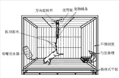 屏幕截图 2024-07-03 112834