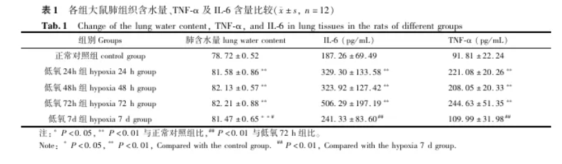 屏幕截图 2024-07-19 102005