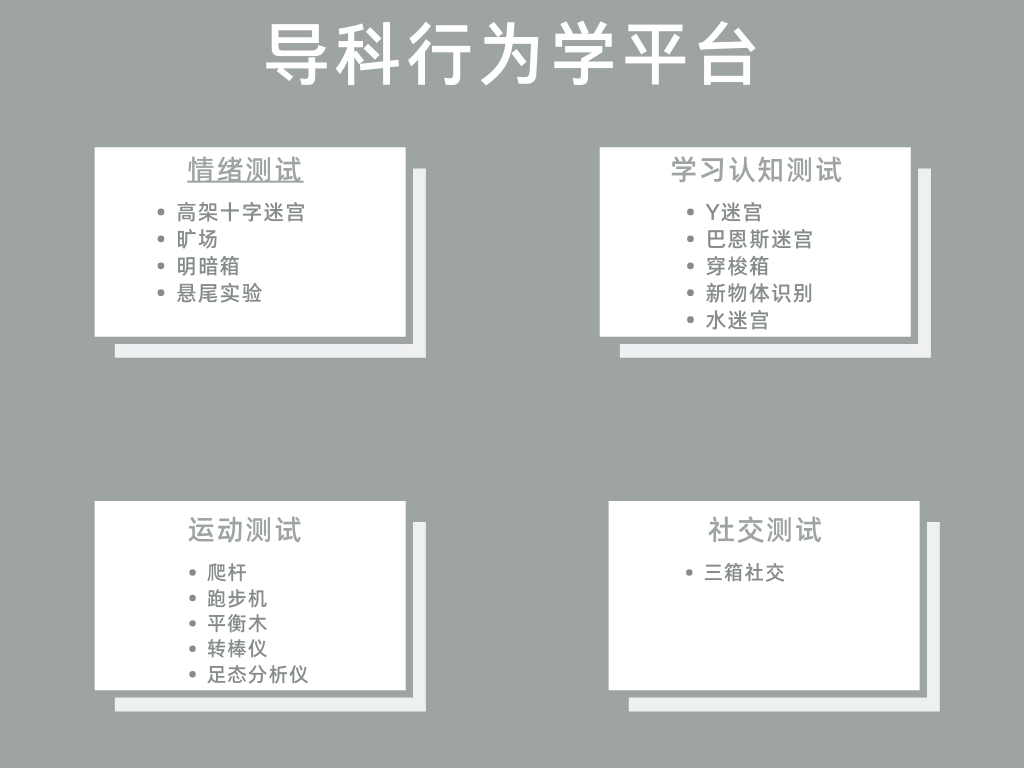 黄白周期图思维导图