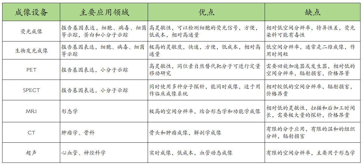 屏幕截图 2024-07-31 092339