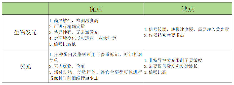 屏幕截图 2024-07-31 093437