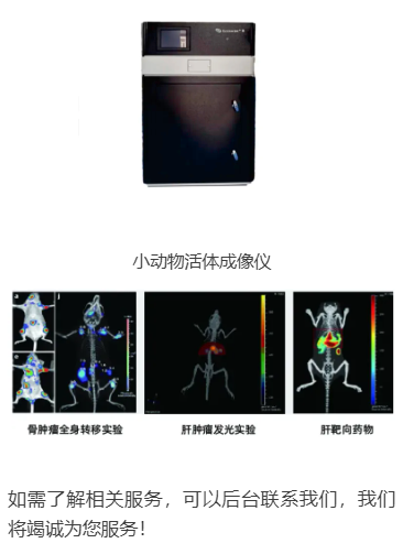 屏幕截图 2024-07-31 101528