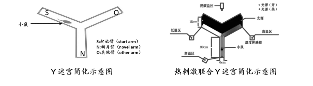 屏幕截图 2024-09-02 092633