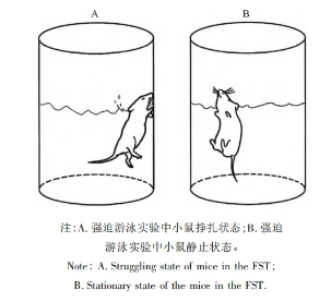 屏幕截图 2024-09-18 094055