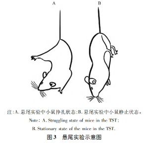 屏幕截图 2024-09-18 094508