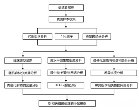 屏幕截图 2024-10-09 091601