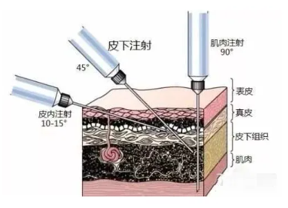 屏幕截图 2024-10-25 160109