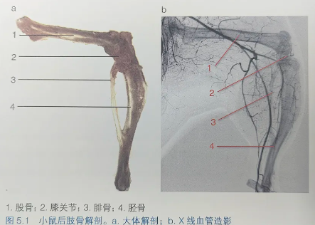 屏幕截图 2024-10-30 102659