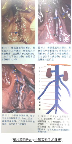 屏幕截图 2024-11-06 094250