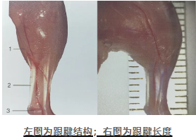 屏幕截图 2024-11-07 110036