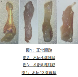 屏幕截图 2024-11-07 110427